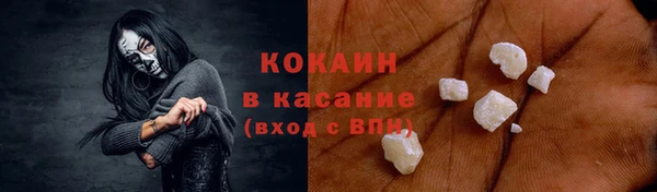 прущие грибы Балахна