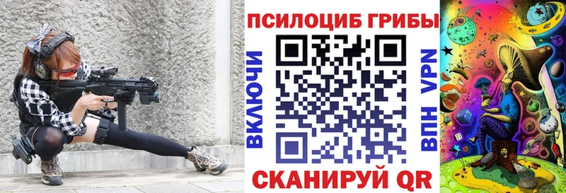 где найти   Шадринск  Псилоцибиновые грибы MAGIC MUSHROOMS 